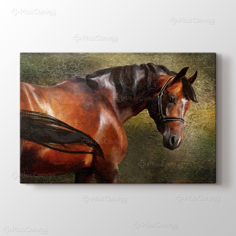 The Thoroughbred görseli.