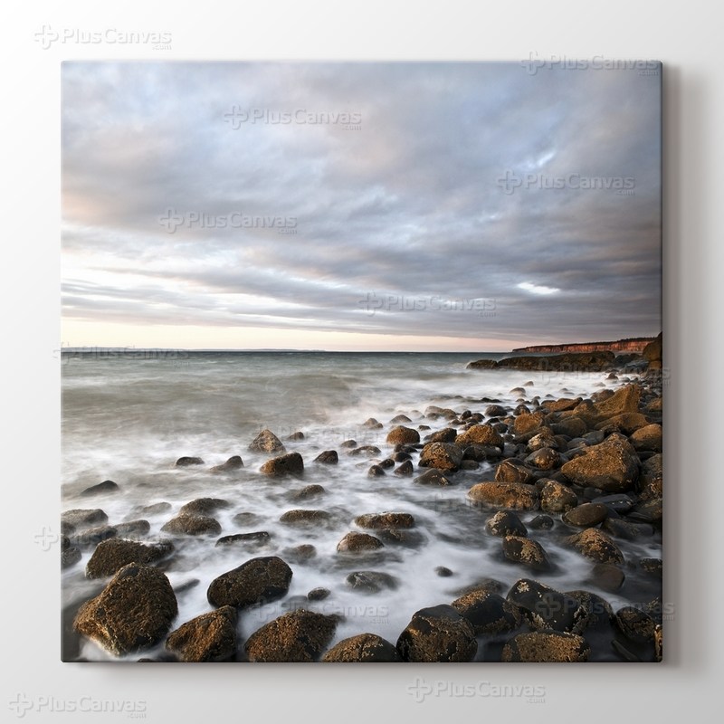 Wavy Coast görseli.