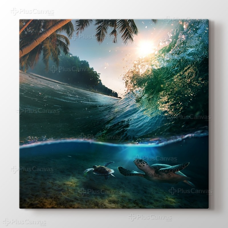 Kaplumbağa görseli.