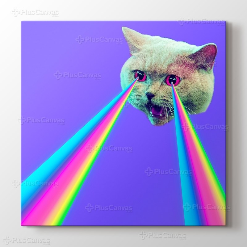 Rainbow Cat Eye görseli.