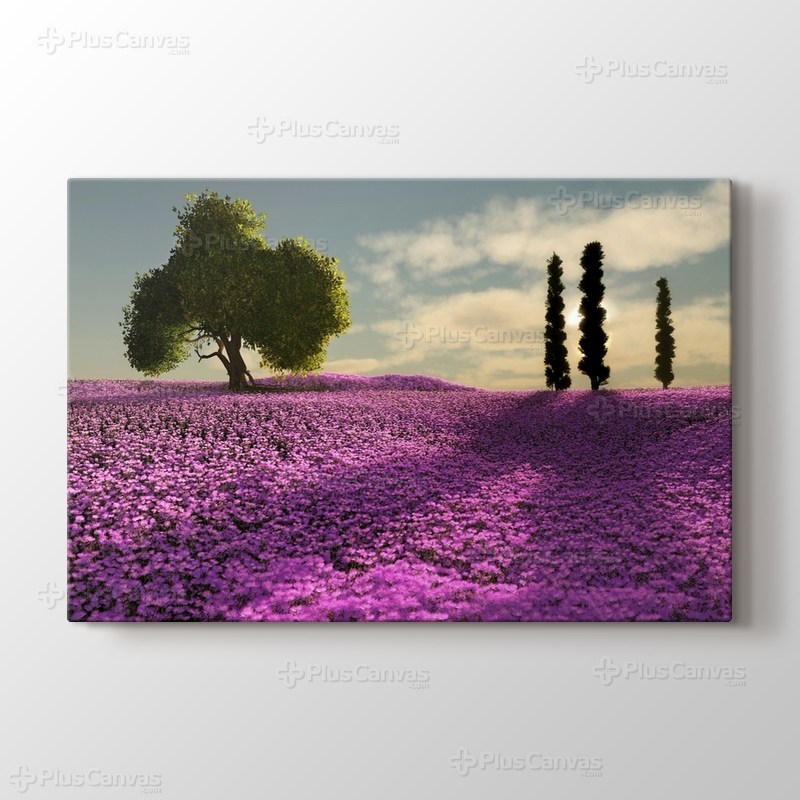Trees and Lavender Field görseli.