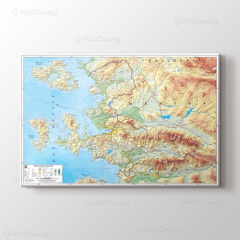 İzmir Fiziki İl Haritası görseli.
