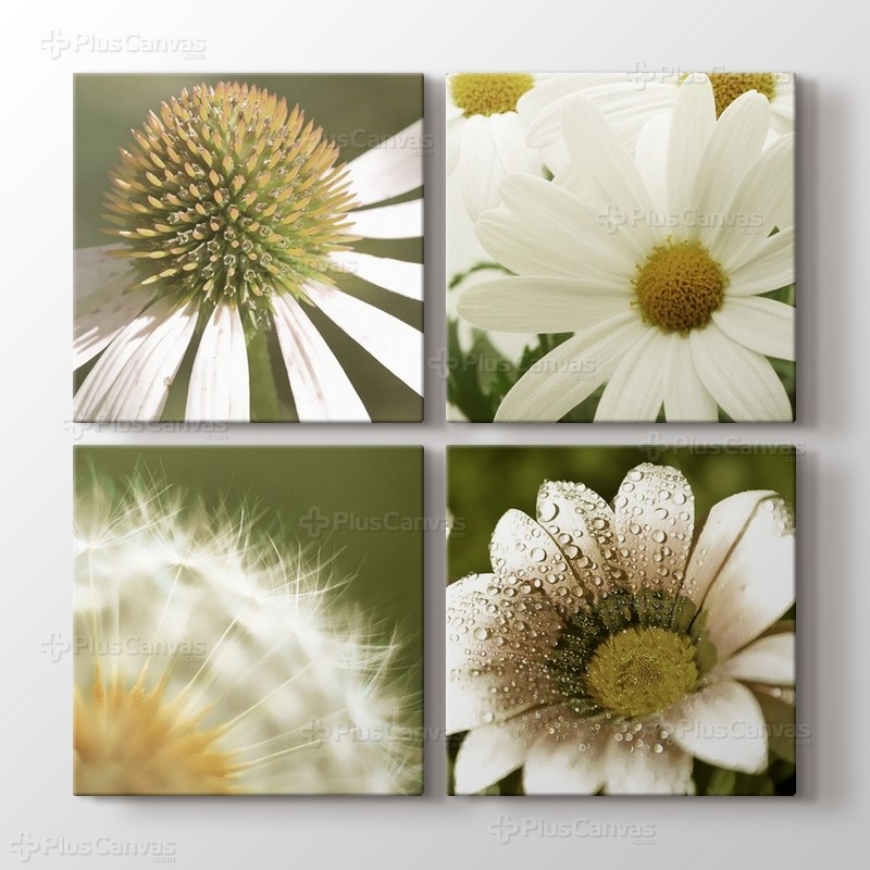 Quattro Flowers görseli.