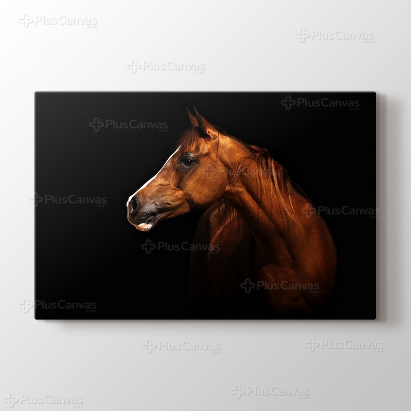 Brown Horse görseli.