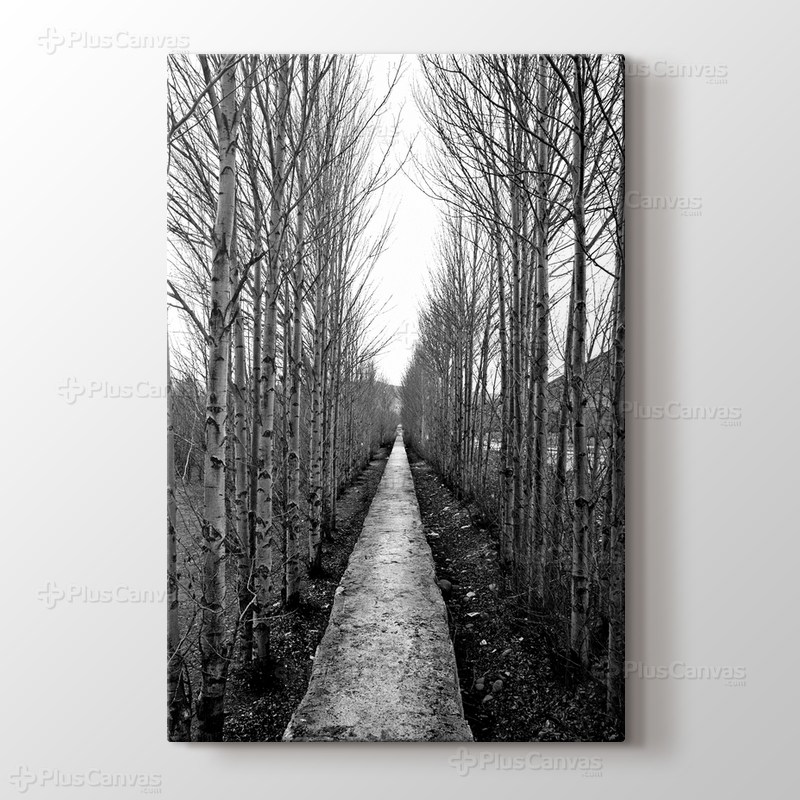 Lonely Road görseli.