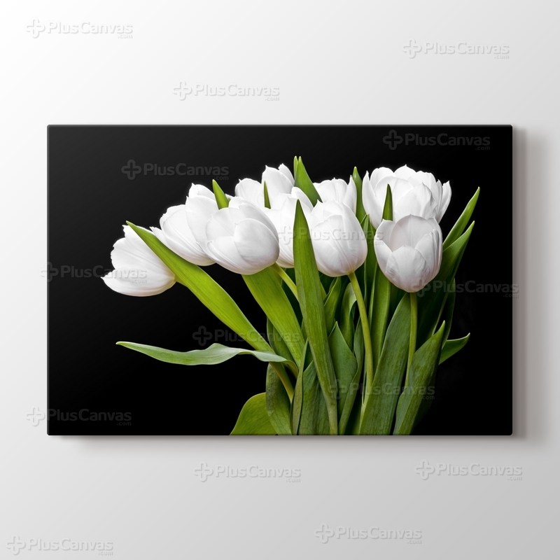 Beyaz Laleler görseli.