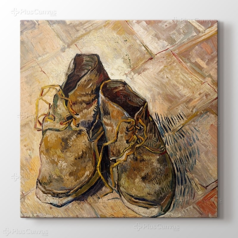 Pair of Shoes görseli.