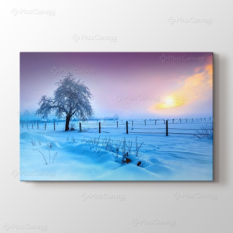 Kar ve Ağaç görseli.