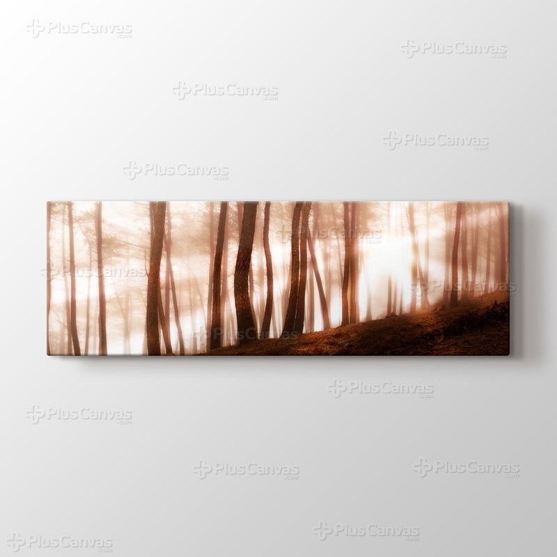 Sunlight through Trees görseli.