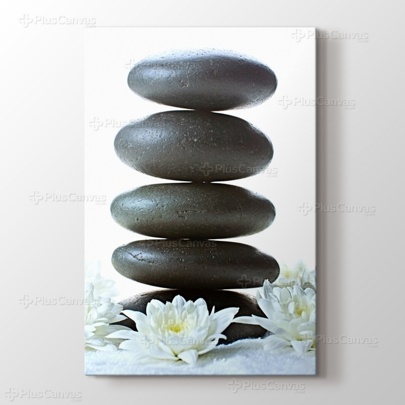 Beyaz Çiçek ve Çakıl Taşları görseli.