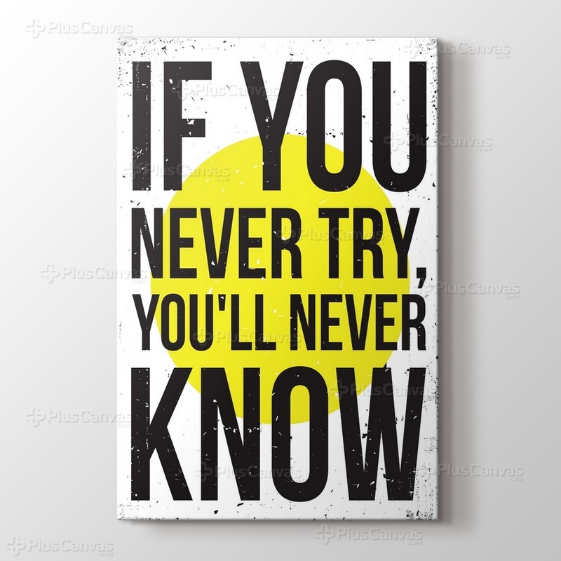 Never Try Never Know görseli.