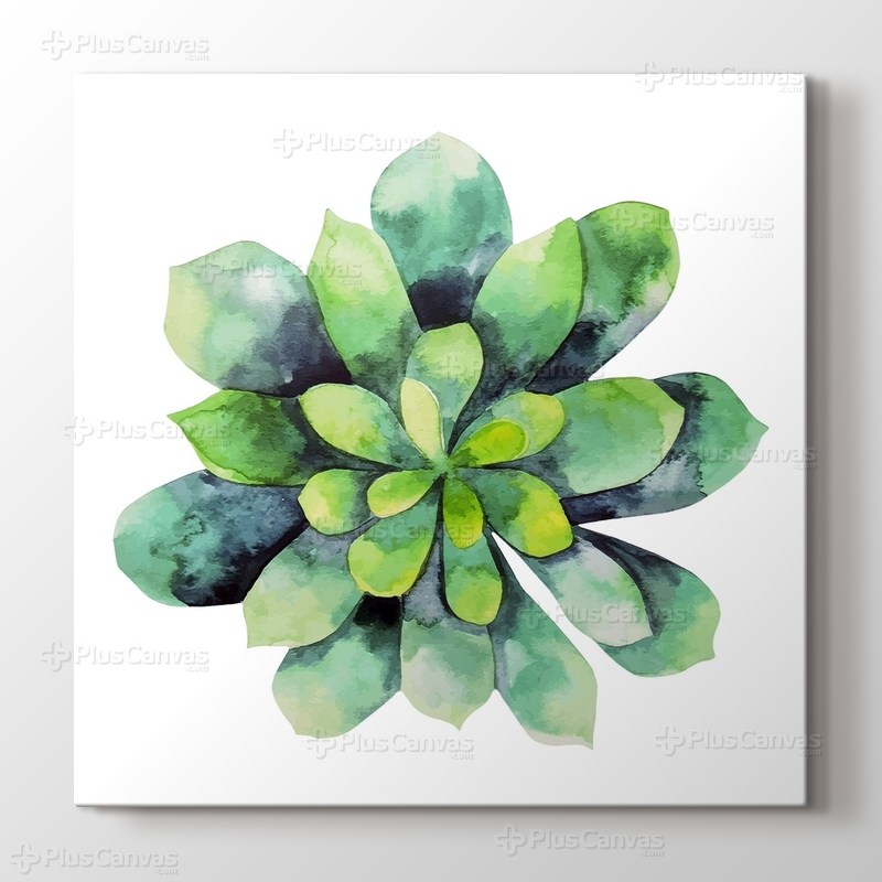 Cripto Succulent görseli.