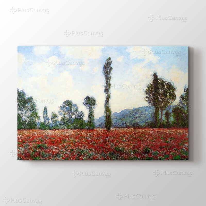 Campo di Papaveri görseli.