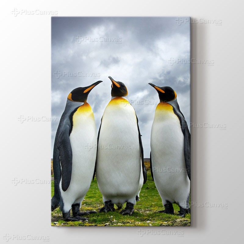 Penguin Family görseli.