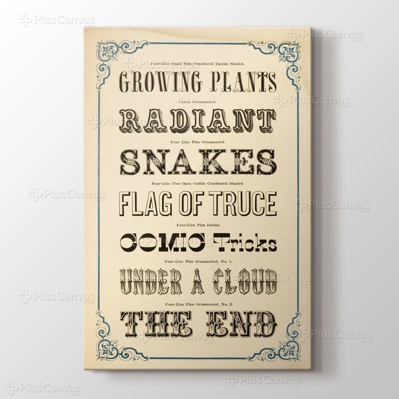 Typography görseli.