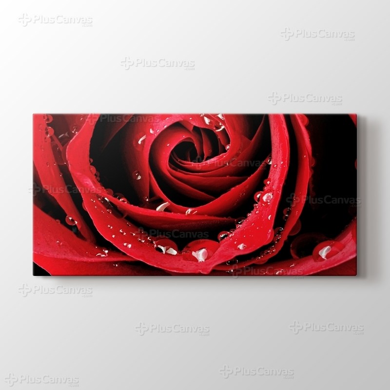 Red Rose Close Up görseli.