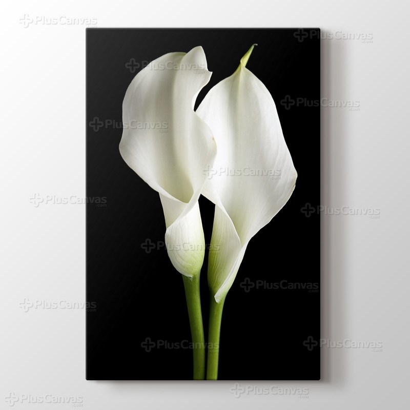 Lillies on Black görseli.