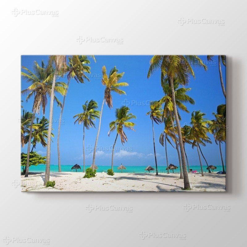 Tropical Palm and Sand Beach görseli.