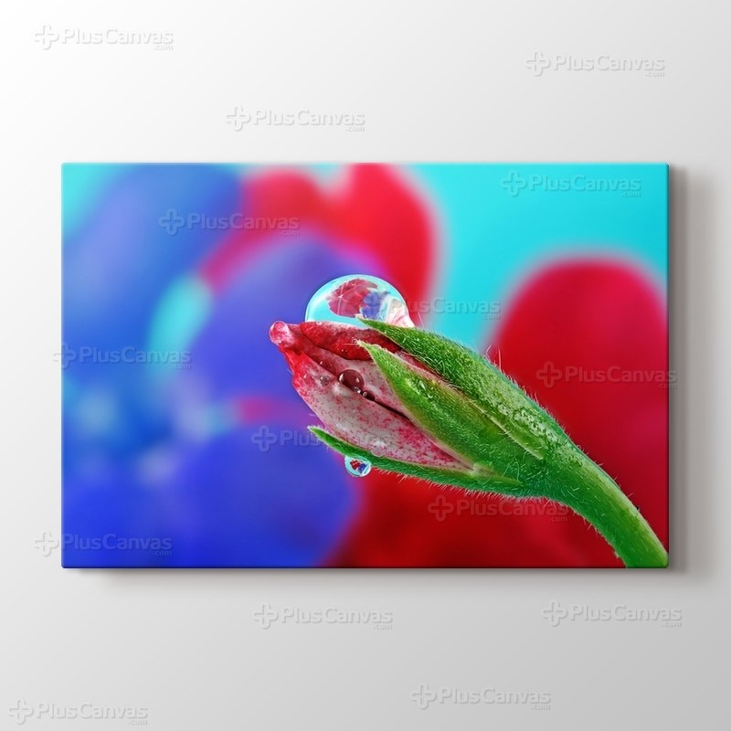 Çiçek Tomurcuğu görseli.