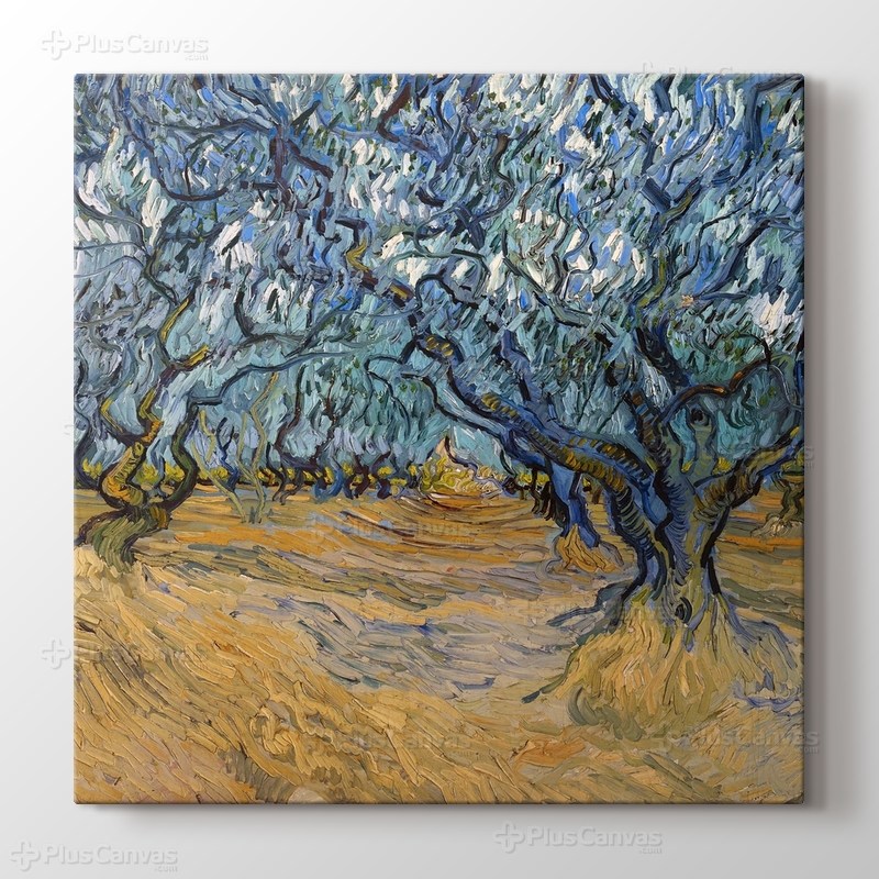 Olive Trees görseli.