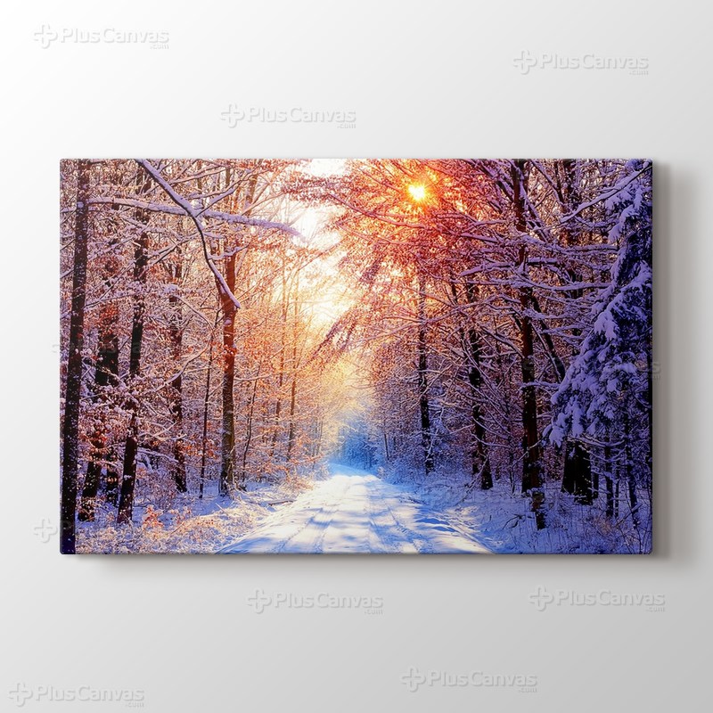 Snowy Road görseli.