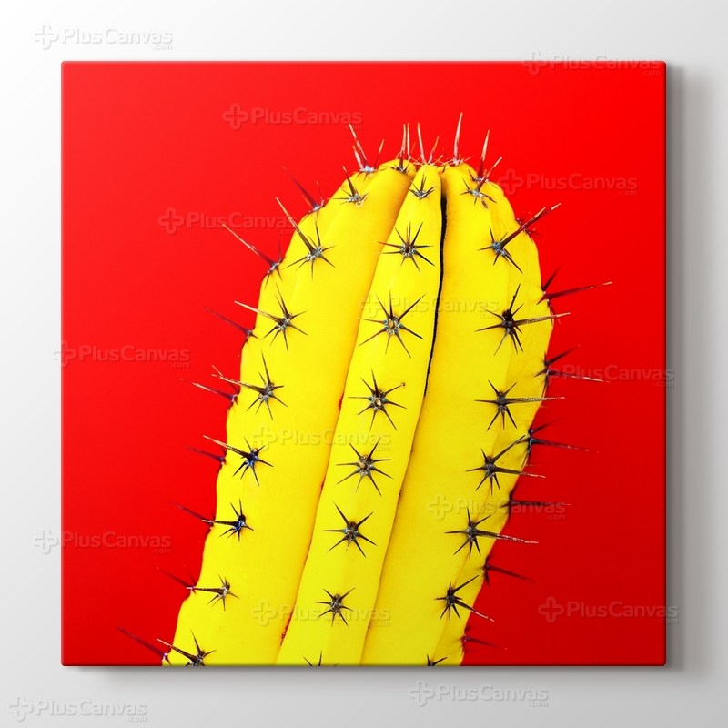 Sarı Kaktüs Kırmızı Fon görseli.