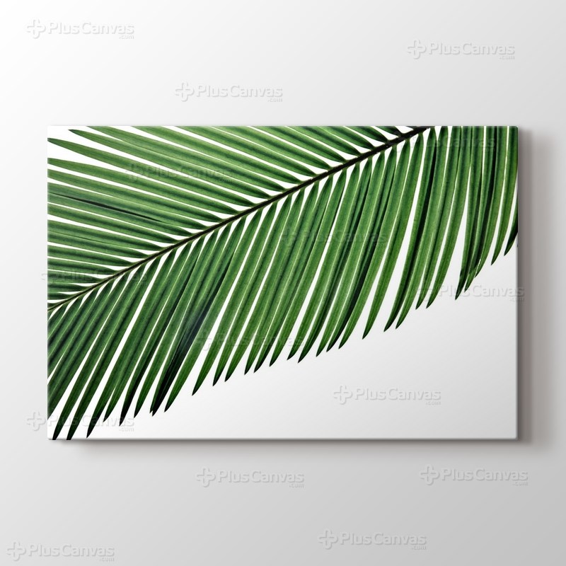 Palmiye Yaprağı görseli.