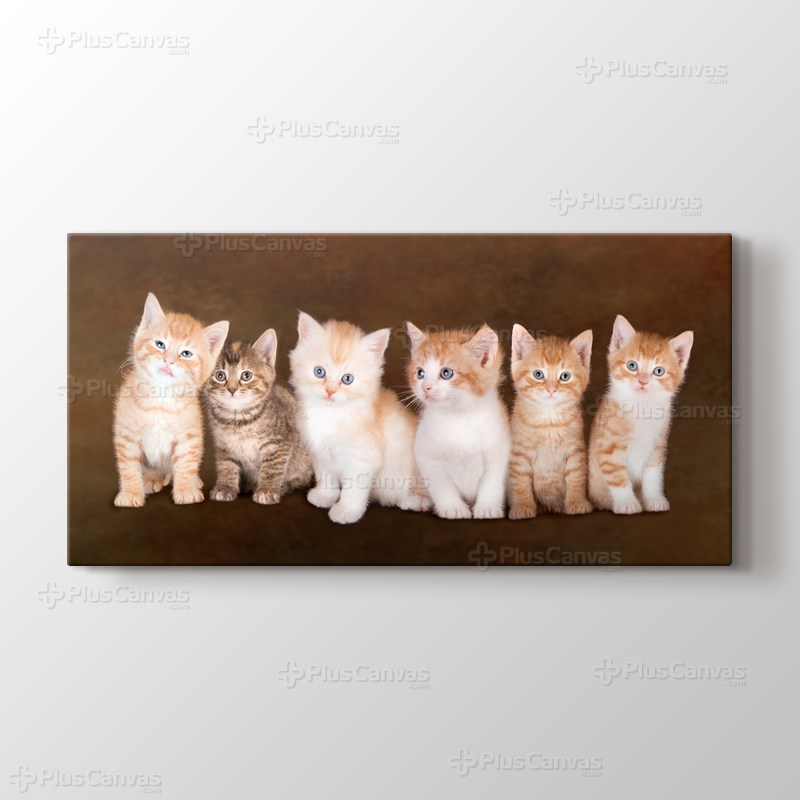 Kedicikler görseli.