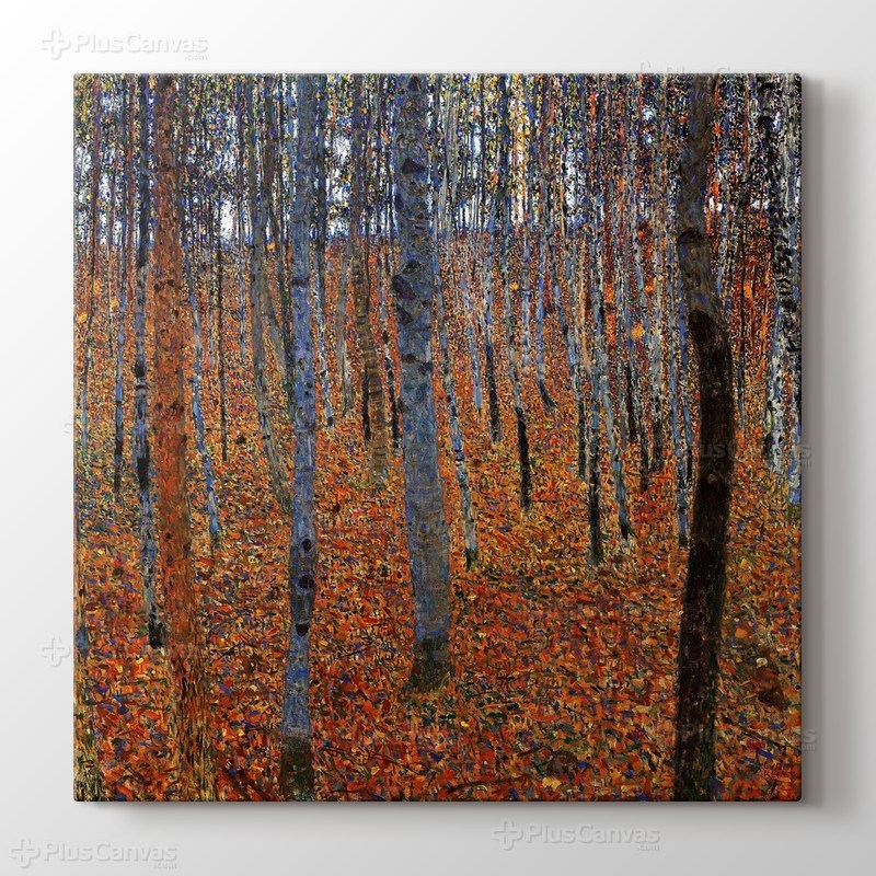 Beech Grove görseli.