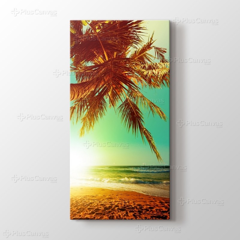 Palmiye Adası görseli.