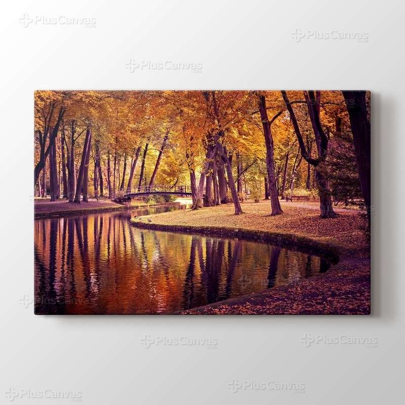 Sonbahar Renkleri görseli.