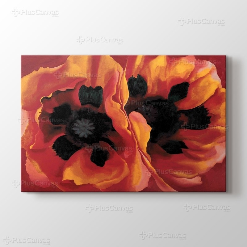 Oriental Poppies görseli.