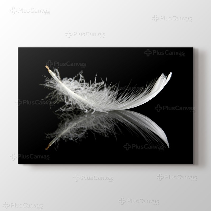 Siyah Üstünde Tüy görseli.