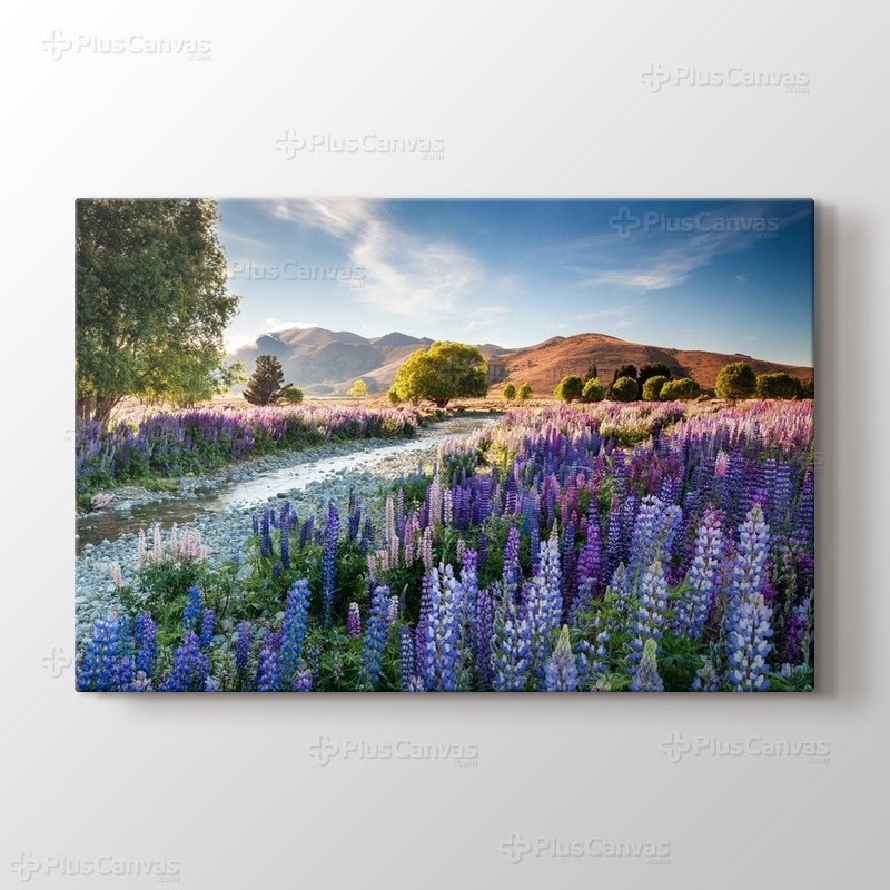 New Zealand görseli.