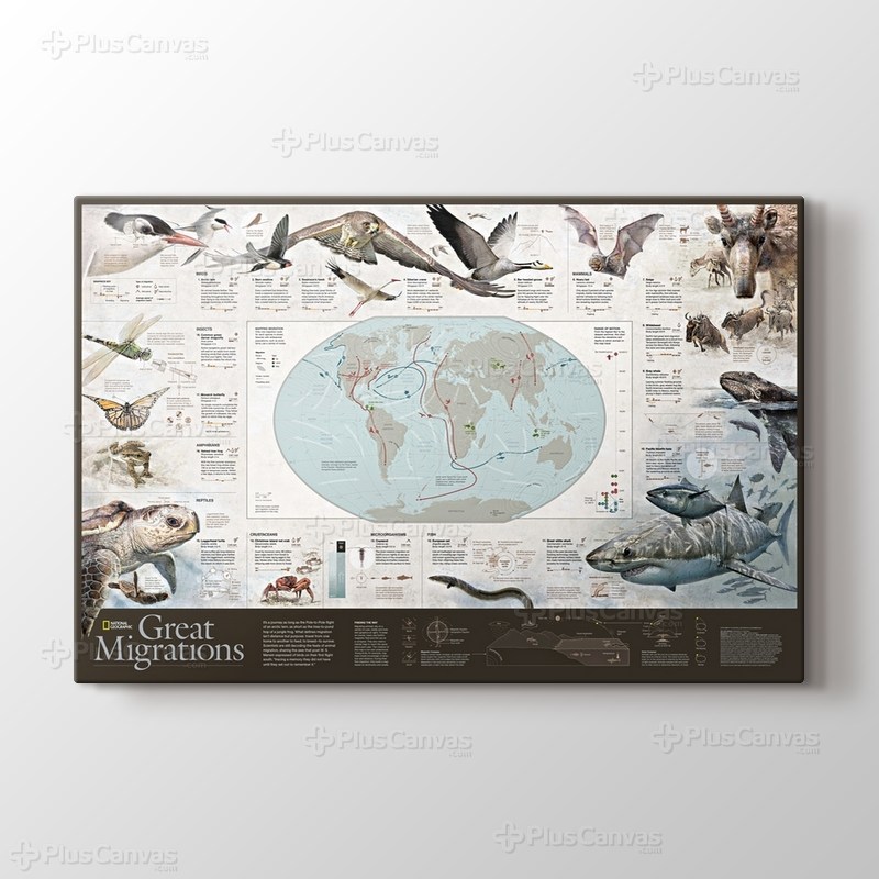 Büyük Göç Haritası görseli.