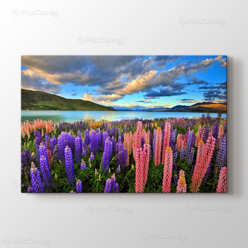 Lake Tekapo - New Zealand görseli.