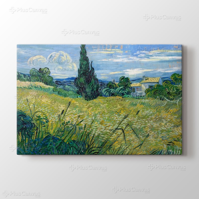 Green Wheat Field with Cypress görseli.