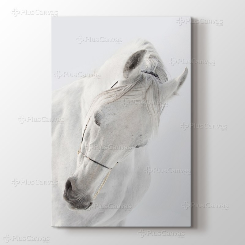 White Horse görseli.