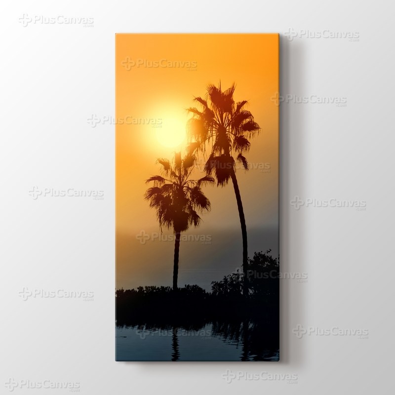 Palmiyeler görseli.