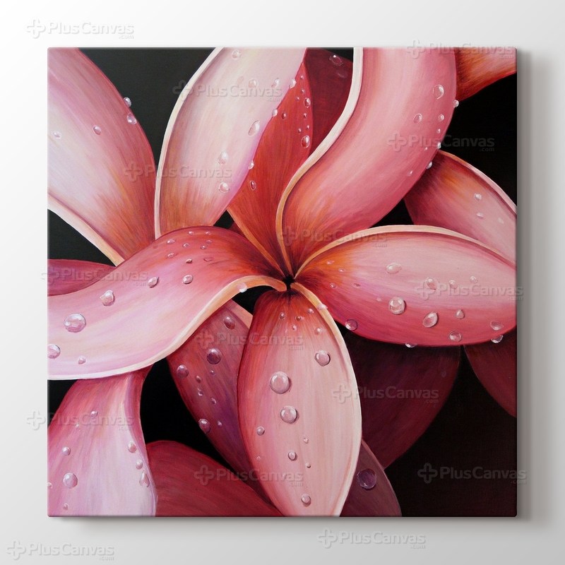 Çiçek Dokusu görseli.