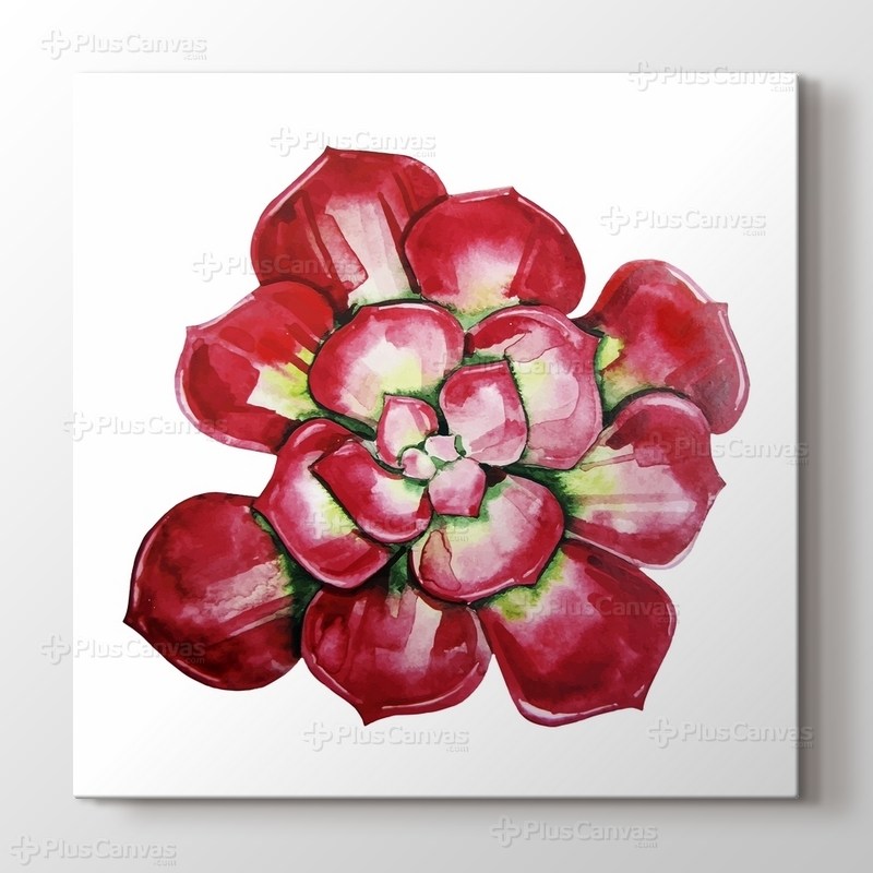 Read Leaf Succulent görseli.