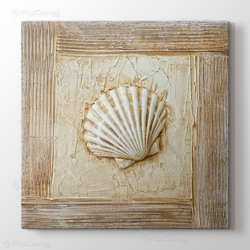 Deniz Kabuğu görseli.