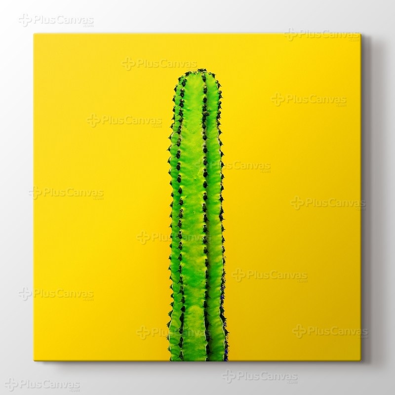 Green Cactus on Yellow görseli.