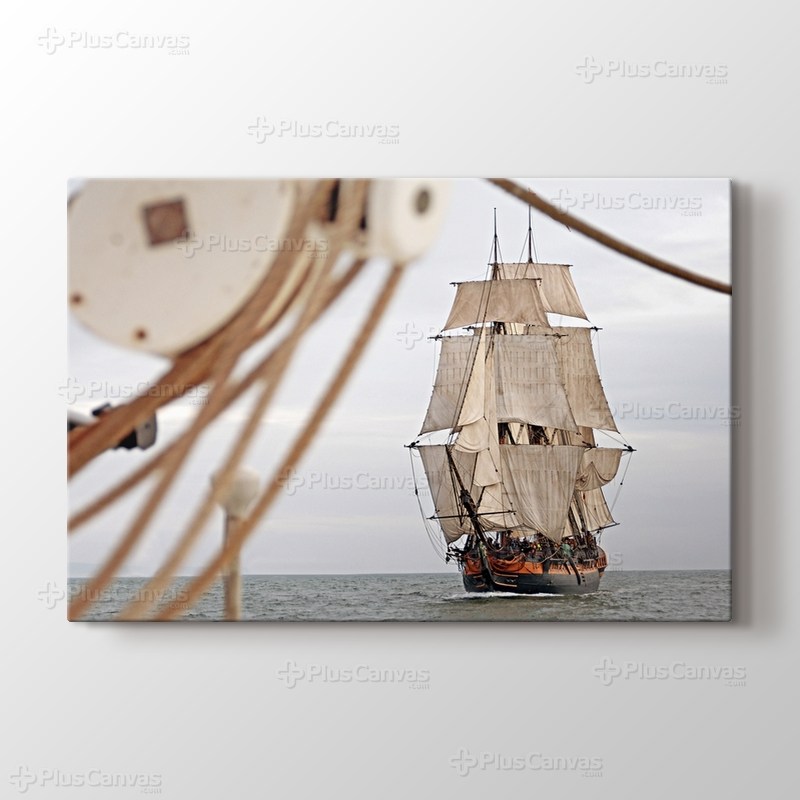 Sailing Anarchy görseli.