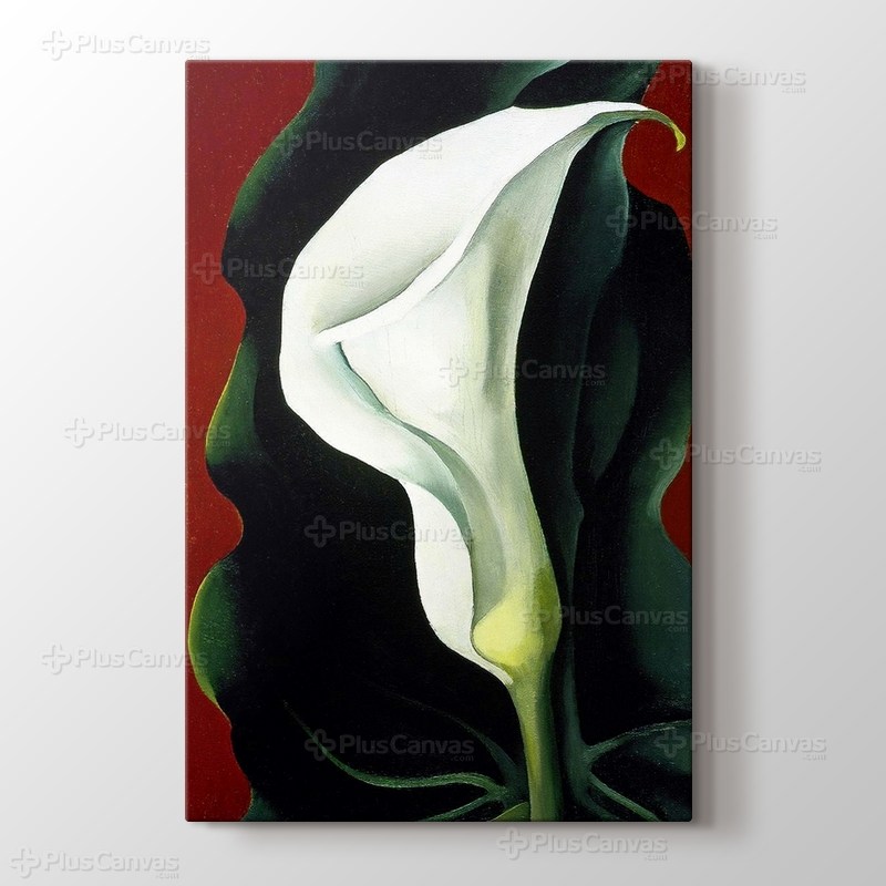 Single Lily with Red 1928 görseli.