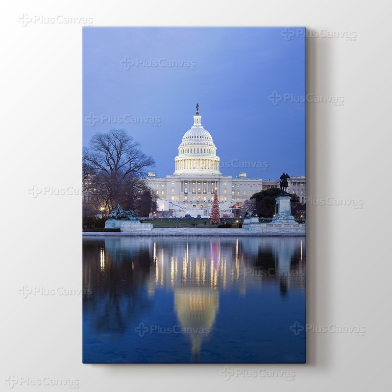 Washington DC - White House görseli.