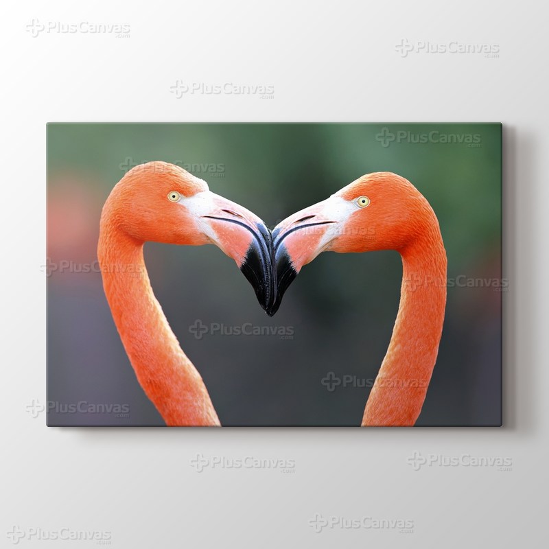 Flamingo Heart görseli.
