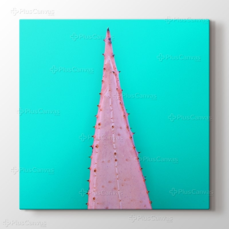 Aloe Leaf on Green görseli.