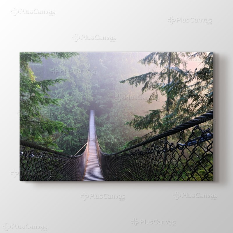 Kanada Lynn Canyon Park görseli.