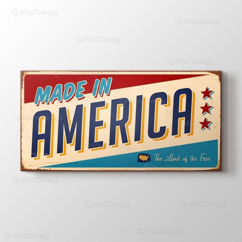 Made in America görseli.